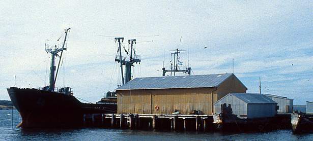 Foto del transporte ARA Isla de los Estados en el muelle este de Puerto Argentino - Fuente: Telam