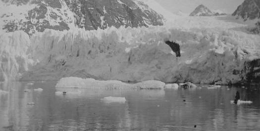 Foto de un glaciar de la isla San Pedro (Georgias del Sur) - Fuente: B.C.R.A. - Biblioteca Tornquist