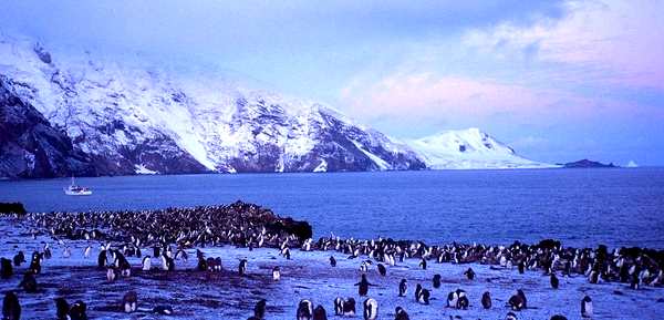 Foto de la isla Morrell desde la península Corbeta Uruguay (Grupo Thule del Sur) - Fuente: George Fremin III